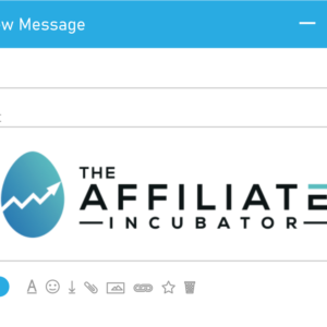 Promotional Email Copy Audit